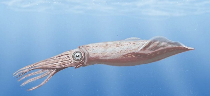 A búvárok felfedeztek valami furcsa dolgot.