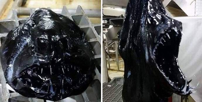 A dán halász hihetetlen szörnyet fogott el