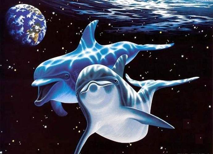 A delfinek idegenek?