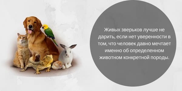 mit adjon a születésnapjára 