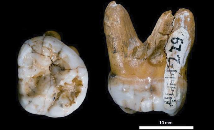 Denisovszkij ember teljesen új kinézetűvé vált