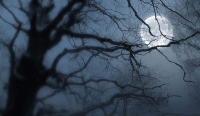 A fák is elaludnak, amikor esik