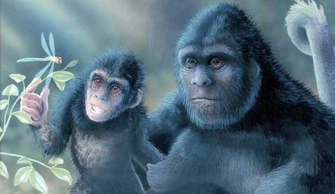 Egy nagylábú baba került a videóra