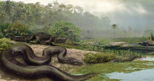 A dinoszauruszok elpusztították ... kígyók