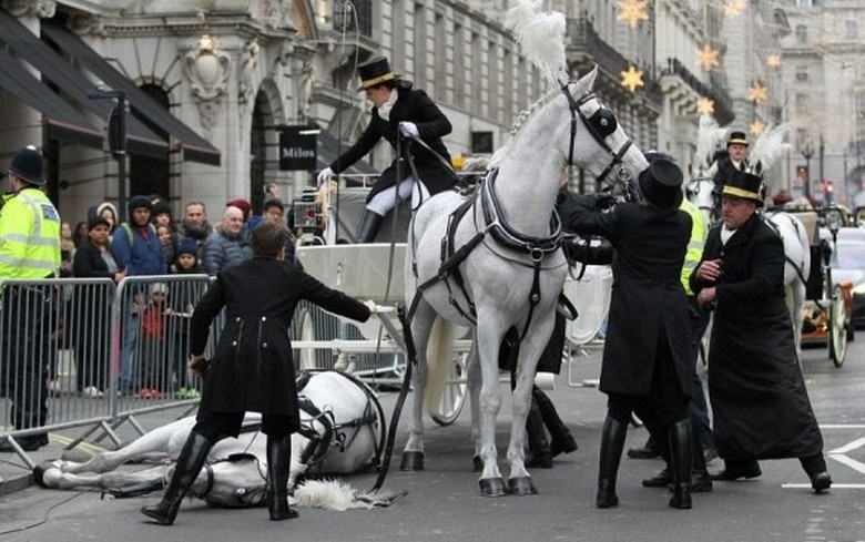 Nagy-Britannia esetében a fehér ló esése nem jó. title=