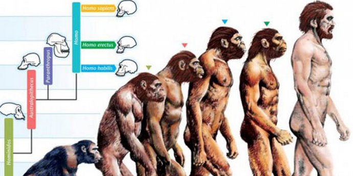 Őskori ember divatos szandálban