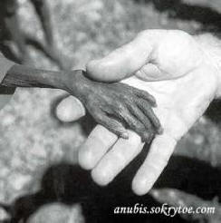 Megbízható kapcsolatok külföldiekkel