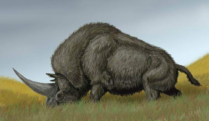 A kazahok ősi ősei az egyszarvúak idején éltek?