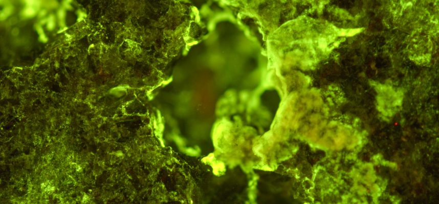 Az ISS-n végzett kísérletek megmutatják, hogyan lehet az űrben ásványi anyagokat bányászni 400% -os hatékonysággal 