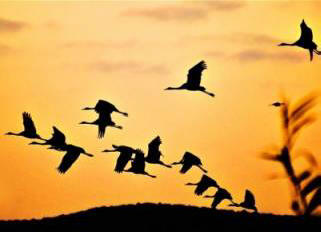 A szakértők figyelmeztetnek: