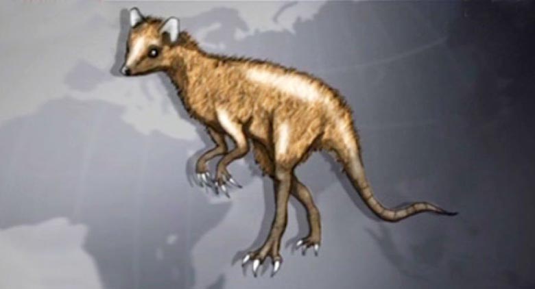 Újabb pillantás arra, mi egy titokzatos chupacabra