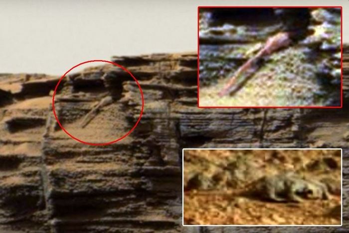 Újabb gyík látható a Marson