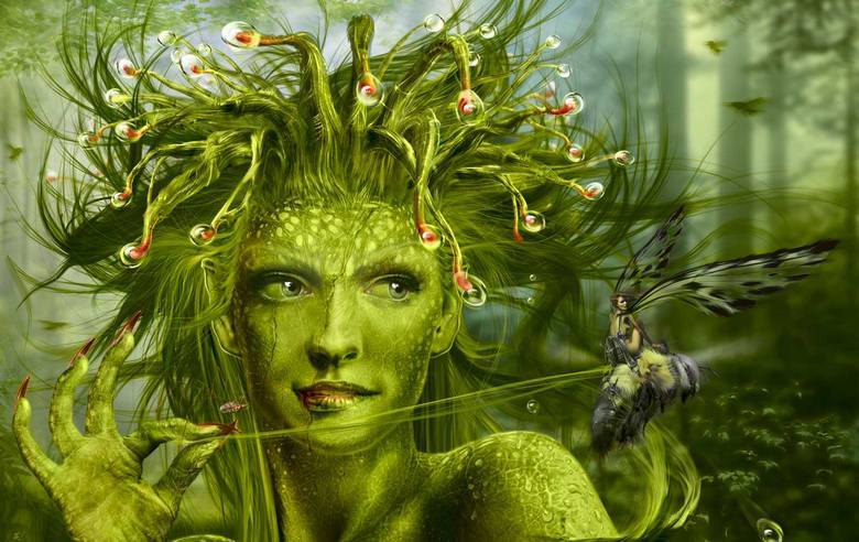 Egy másik tudományos bizonyíték arra, hogy a növények tudatosak.