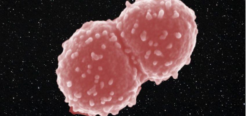 Ez a baktérium egy évig az űrállomáson kívül élt. 