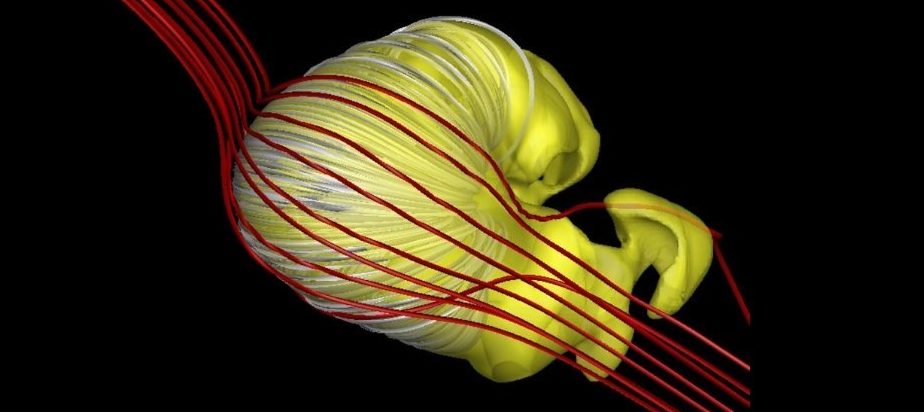 Ez a furcsa forma valójában olyan lehet, mint a mi Nap mágneses buborékja. 