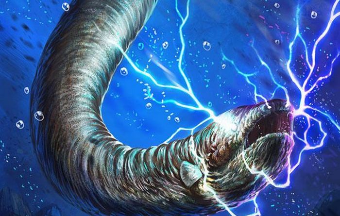 Ezek a csodálatos angolnák.