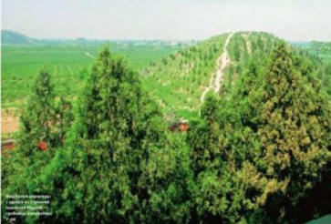 Kínai hamis és valódi rejtvények