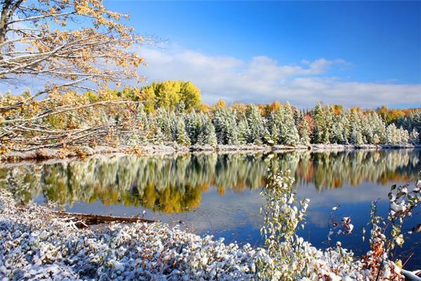 táblák november 11-én 