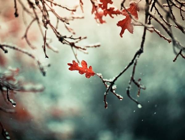 néptáblák november 11-én 