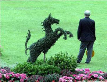 Feng Shui előrejelzése a 2014. évi zöld lóról