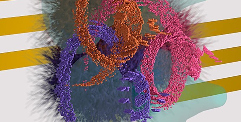 A fizikusok 50 évvel ezelőtt megjósolt mágnesesség megfoghatatlan formájának jeleit fedezik fel 