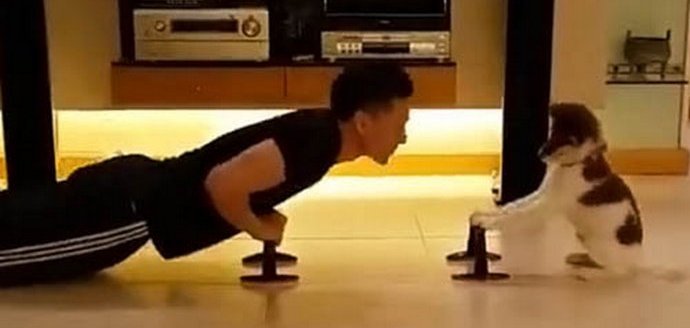 Testnevelés egy kiskutyának