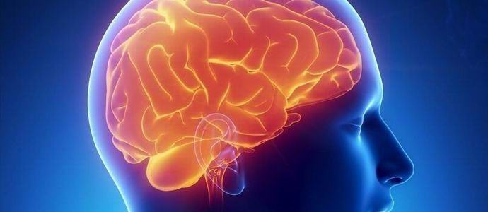 A francia fél évszázaddal szinte agytalanul él