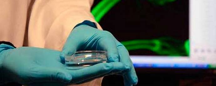 Az ifjúsági gén másfélszer meghosszabbítja az ember életét