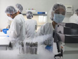 A genetika akkor derült ki, amikor a Földön lakó népek keveredtek