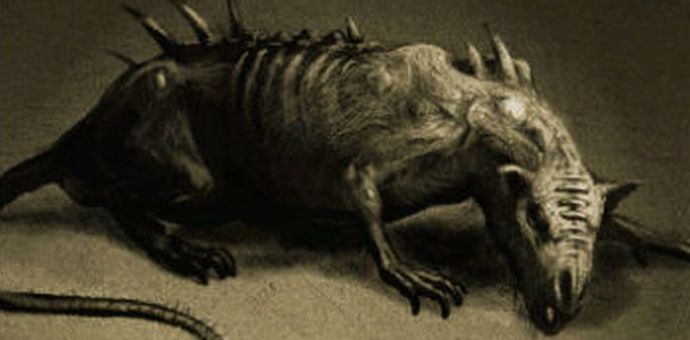 Óriási, okos és félelem nélküli patkányok