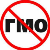 GMO-k: 3 milliárd ember halhat meg!