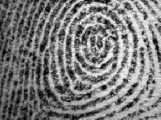 A Google és a CIA szponzoráló elődjei