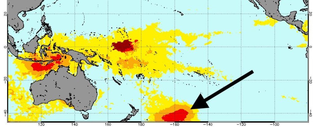 A Csendes-óceán „forró buborékja” egy év alatt egymillió tengeri madarat pusztított el 