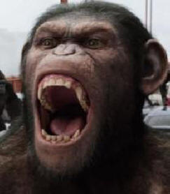Jön a majom lázadása?