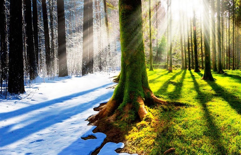 Az oroszországi hideg évszak hanyatlik, mondta az előrejelzők