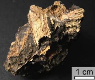 Az Impactit több milliárd évig tárolja a biológiai adatokat.