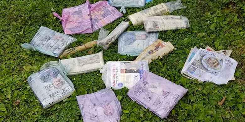 Az állatok néha nem csak meglepnek, hanem szó szerint meghökkentnek