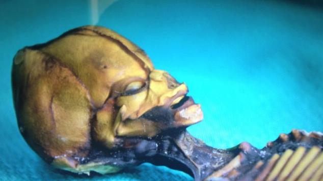 Idegen az Atacama sivatagból