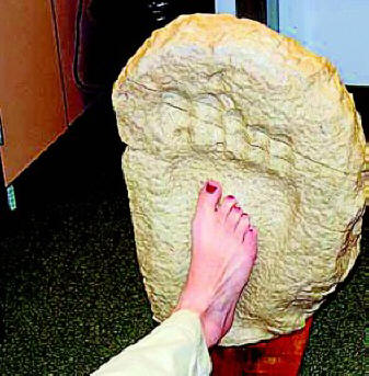 Egy óriás lábnyomának megkövesedett lenyomata a Palexi folyó partjától (Texas, USA)