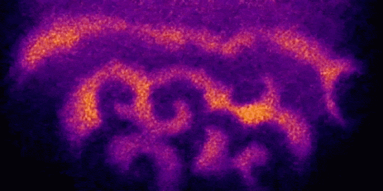 Feltárás: Az élet hullámokkal kezdődik 