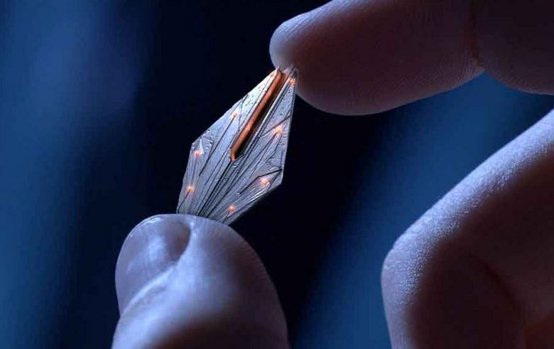 A híres ufológus azt állítja: az emberek idegenek általi aprítása teljes lendületben van