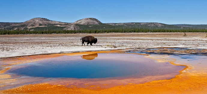 Yellowstone segítség nélkül nem fog felrobbanni