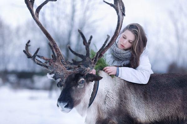 Miért álmodik egy szarvas 