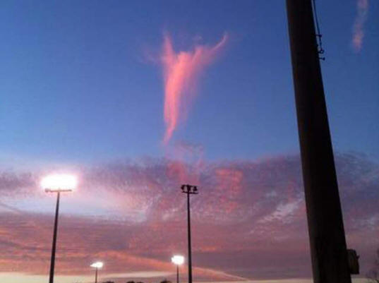 Közösségi hálózatok