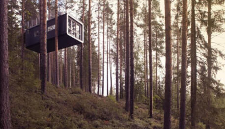 Hogyan viselkednek a fák minket