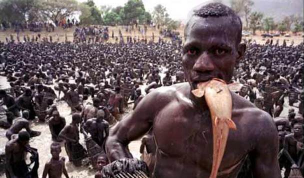 Milyen egyszerű a béke és a harmónia.