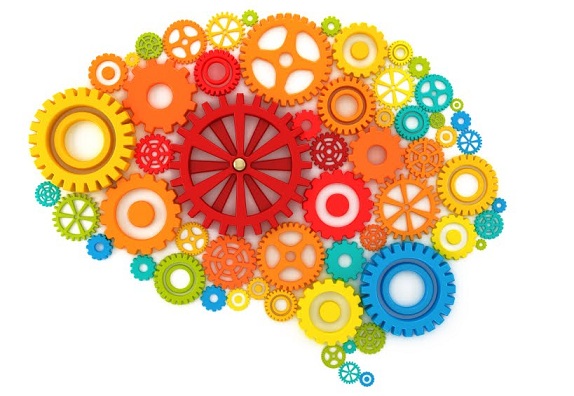 Hogyan érzékeli az agy a színeket