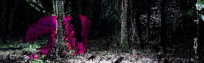 Mi lenne az őskori erdőben való séta?