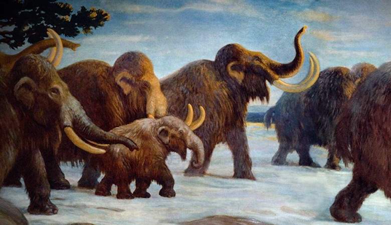 Hogyan születnek hamisítványok, vagy a felvételek rejtvénye Szibériában