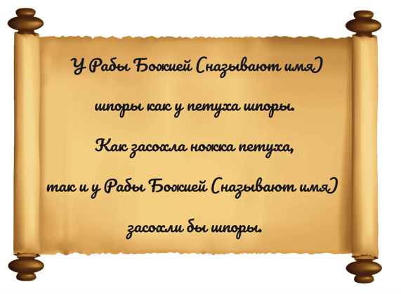 Hogyan kell beszélni egy sarok sarkantyúval 